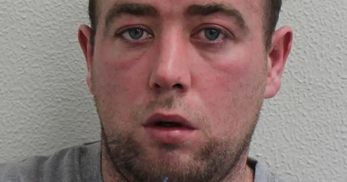 West London thug who spat at police officer and claimed he had Covid is jailed