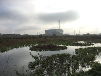 Calls for Beddington incinerator to be shut down over CO2