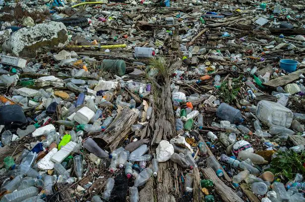 Rubbish left next to full bins is causing the River Thames to become hideously polluted