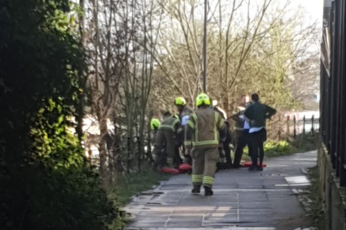 Pensioner’s body recovered from River Lea in north-east London