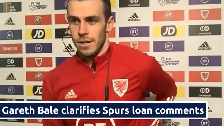 Tottenham fans have a theory over Gareth Bale's elbow on Czech Republic star accused of racism