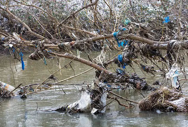 The reality of plastic pollution was horrifically clear when this river overflowed. Trees and bushes along its banks were draped with ragged blue plastic bags. The pollution is tainting a pocket of nature in Hackney, east London